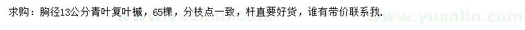 求購胸徑13公分青葉復(fù)葉槭