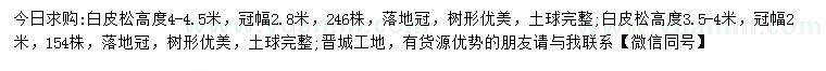 求購高3.5-4、4.5米白皮松