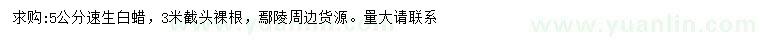 求購(gòu)5公分速生白蠟