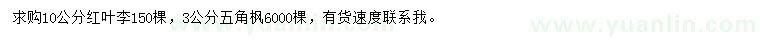 求購10公分紅葉李、3公分五角楓