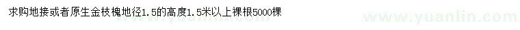 求購地徑1.5公分地接或者原生金枝槐