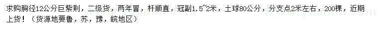 求購胸徑12公分巨紫荊