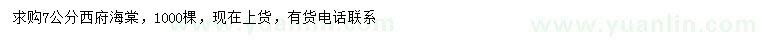 求購7公分西府海棠