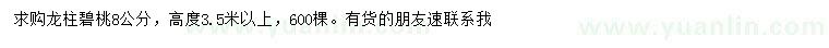 求購8公分龍柱碧桃