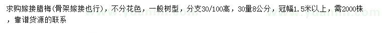 求購30量8公分嫁接臘梅