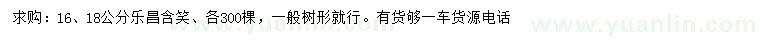 求購16、18公分樂昌含笑