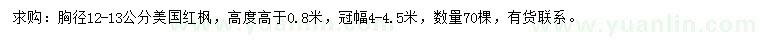 求購胸徑12-13公分美國紅楓