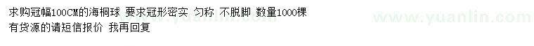 求購冠幅100公分海桐球 