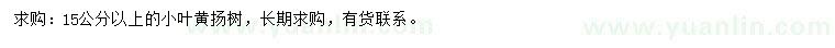 求購15公分以上小葉黃揚
