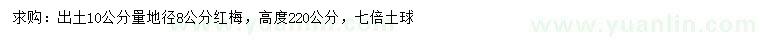 求購(gòu)10公分量地徑8公分紅梅