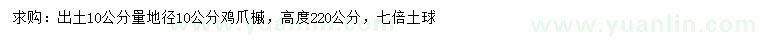 求購10公分量地徑10公分雞爪槭