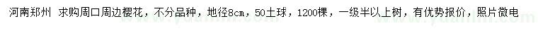 求購地徑8公分櫻花