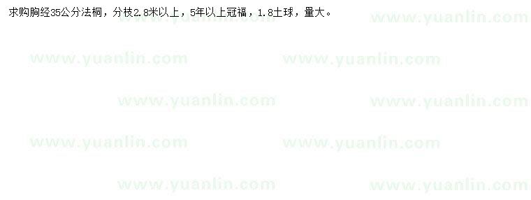 求購胸徑35公分法桐