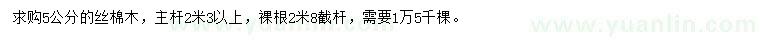 求購5公分絲棉木