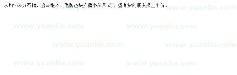 求購石楠、金森繼木、毛鵑色塊扦播小苗