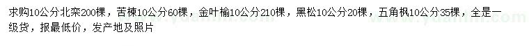 求購北欒、苦楝、金葉榆等