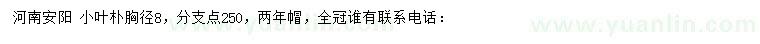 求購胸徑8公分小葉樸