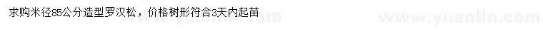 求購(gòu)米徑85公分造型羅漢松