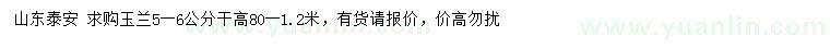 求購5-6公分玉蘭