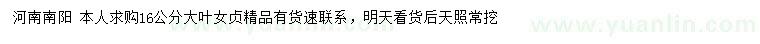求購16公分大葉女貞