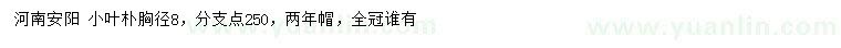 求購(gòu)小葉樸胸徑8公分