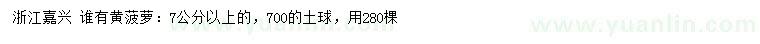 求購(gòu)7公分以上黃菠蘿