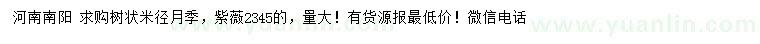 求購米徑2、3、4、5公分樹狀月季、紫薇