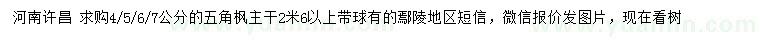 求購(gòu)4、5、6、7公分五角楓
