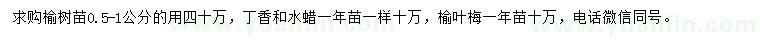 求購榆樹苗、丁香、水蠟等
