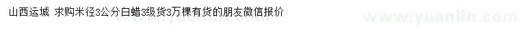 求購米徑3公分白蠟