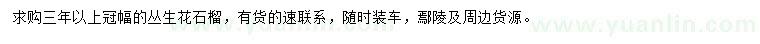 求購叢生花石榴
