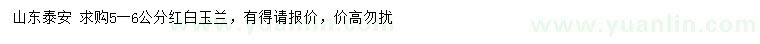 求購(gòu)5-6公分紅白玉蘭