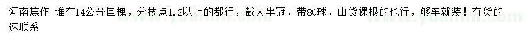 求購14公分國槐