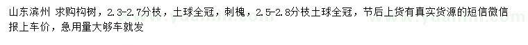 求購(gòu)構(gòu)樹(shù)、刺槐