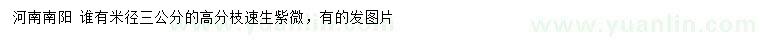 求購米徑3公分速生紫薇