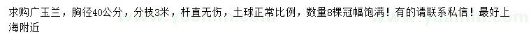 求購胸徑40公分廣玉蘭