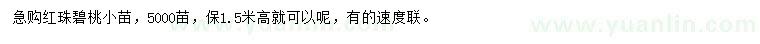 求購紅珠碧桃小苗
