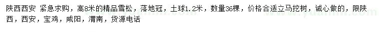 求購高8米精品雪松