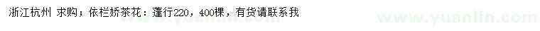 求購依欄嬌茶花