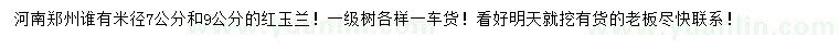 求購米徑7、9公分紅玉蘭