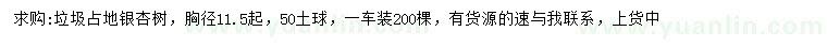 求購胸徑11.5公分起銀杏樹