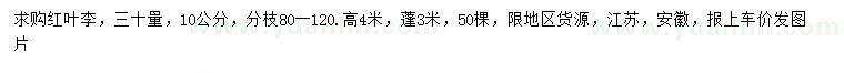 求購30量10公分紅葉李