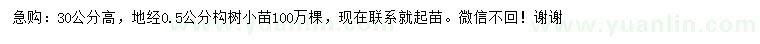 求購地徑0.5公分構樹小苗