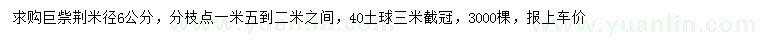 求購(gòu)米徑6公分巨祡荊