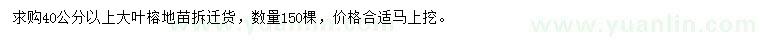 求購(gòu)40公分以上大葉榕