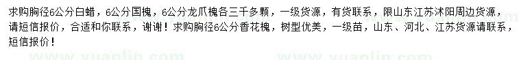 求購白蠟、國槐、龍爪槐等