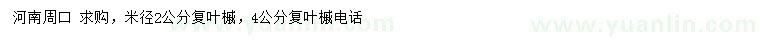 求購米徑2、4公分復(fù)葉槭