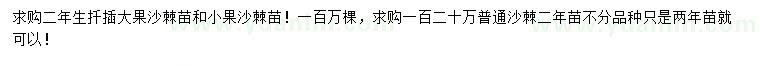 求購沙棘苗
