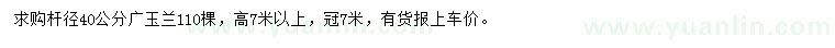 求購桿徑40公分廣玉蘭