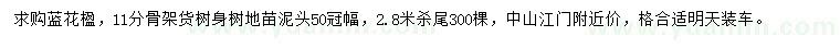 求購11公分藍(lán)花楹